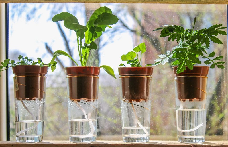 Indoor Outdoor Self-Watering Planter